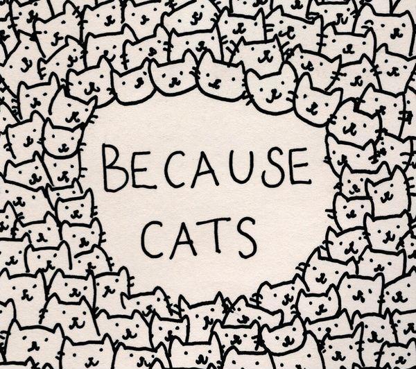 Because cats Picture Quote #1
