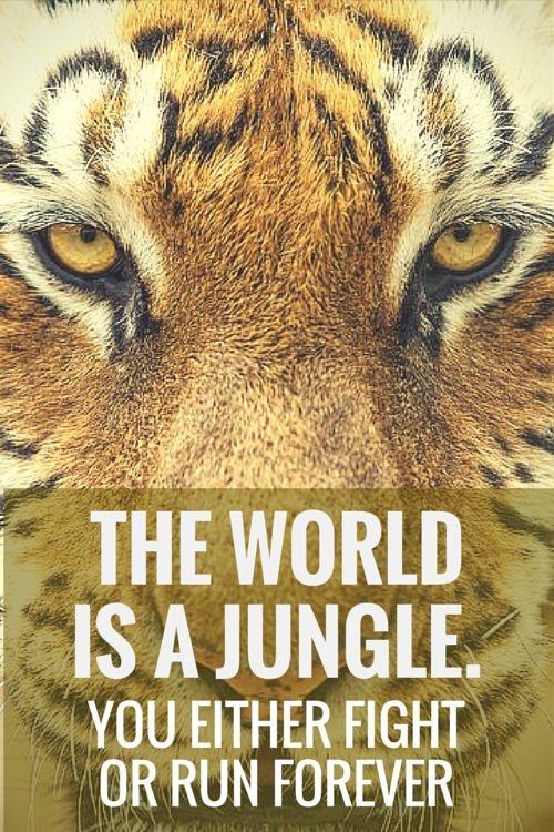 The world is a jungle. You either fight or run forever Picture Quote #1