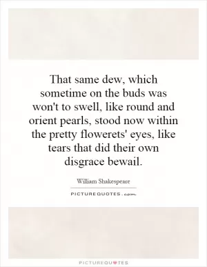 That same dew, which sometime on the buds was won't to swell, like round and orient pearls, stood now within the pretty flowerets' eyes, like tears that did their own disgrace bewail Picture Quote #1