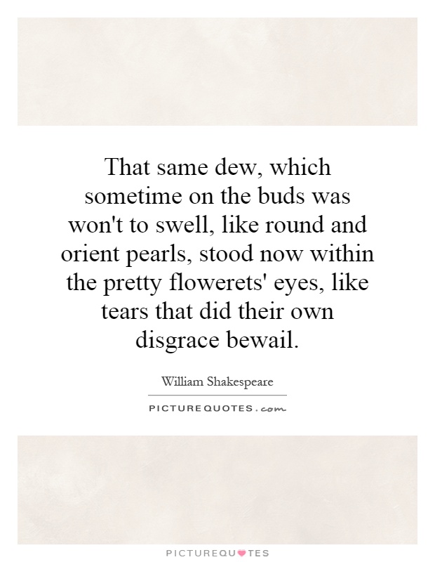 That same dew, which sometime on the buds was won't to swell, like round and orient pearls, stood now within the pretty flowerets' eyes, like tears that did their own disgrace bewail Picture Quote #1