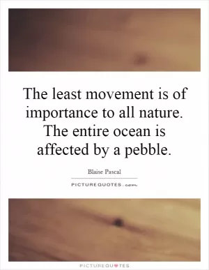 The least movement is of importance to all nature. The entire ocean is affected by a pebble Picture Quote #1
