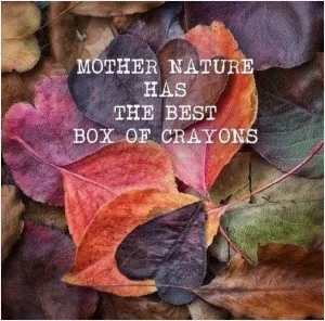 Mother nature has the best box of crayons Picture Quote #1