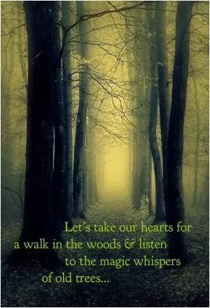 Let's take our hearts for a walk in the woods and listen to the magic whispers of old trees Picture Quote #1