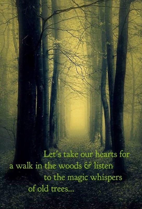 Let's take our hearts for a walk in the woods and listen to the magic whispers of old trees Picture Quote #1