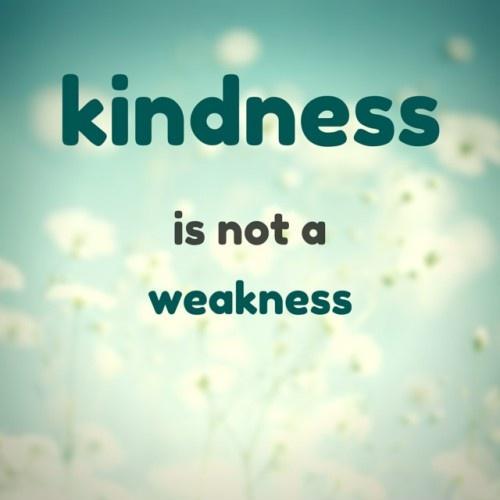 Kindness is not a weakness Picture Quote #1