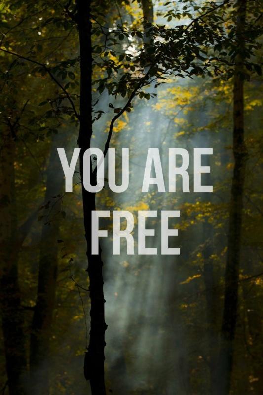 You are free Picture Quote #1