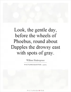 Look, the gentle day, before the wheels of Phoebus, round about Dapples the drowsy east with spots of gray Picture Quote #1