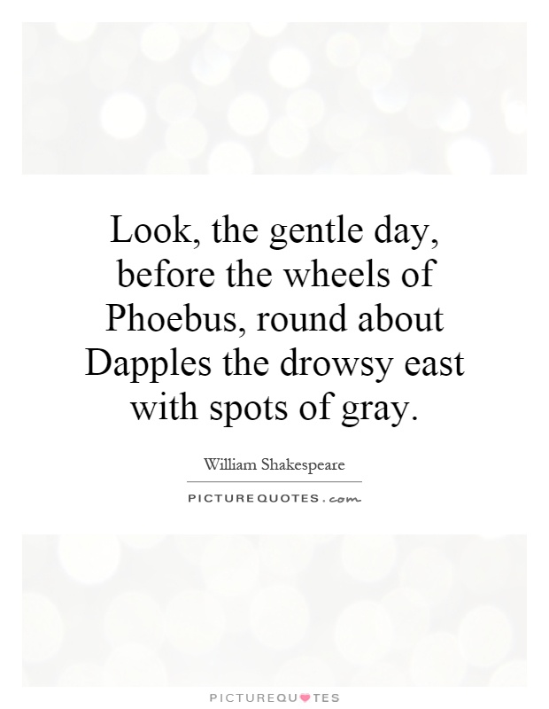 Look, the gentle day, before the wheels of Phoebus, round about Dapples the drowsy east with spots of gray Picture Quote #1