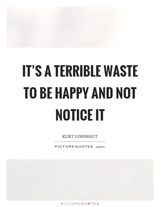 It's a terrible waste to be happy and not notice it Picture Quote #1