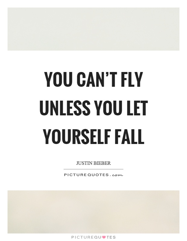 You can't fly unless you let yourself fall Picture Quote #1