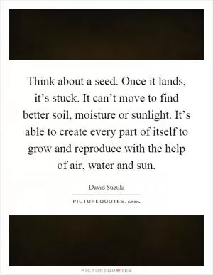 Think about a seed. Once it lands, it’s stuck. It can’t move to find better soil, moisture or sunlight. It’s able to create every part of itself to grow and reproduce with the help of air, water and sun Picture Quote #1