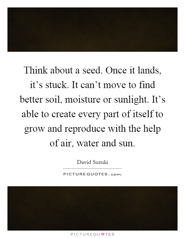 Think about a seed. Once it lands, it's stuck. It can't move to find better soil, moisture or sunlight. It's able to create every part of itself to grow and reproduce with the help of air, water and sun Picture Quote #1