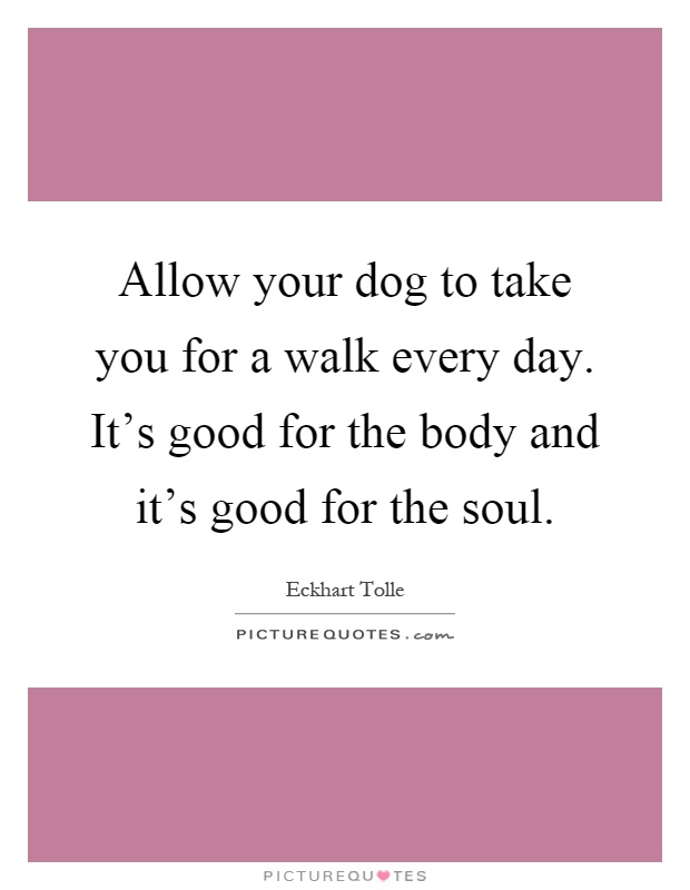 Allow your dog to take you for a walk every day. It's good for the body and it's good for the soul Picture Quote #1