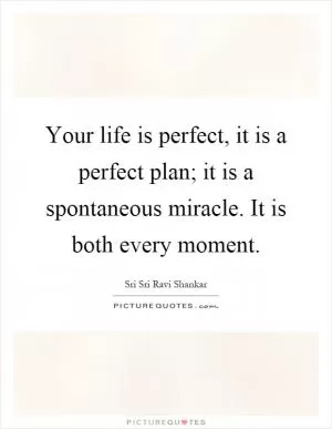Your life is perfect, it is a perfect plan; it is a spontaneous miracle. It is both every moment Picture Quote #1