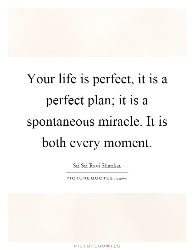 Your life is perfect, it is a perfect plan; it is a spontaneous miracle. It is both every moment Picture Quote #1