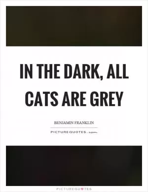 In the dark, all cats are grey Picture Quote #1