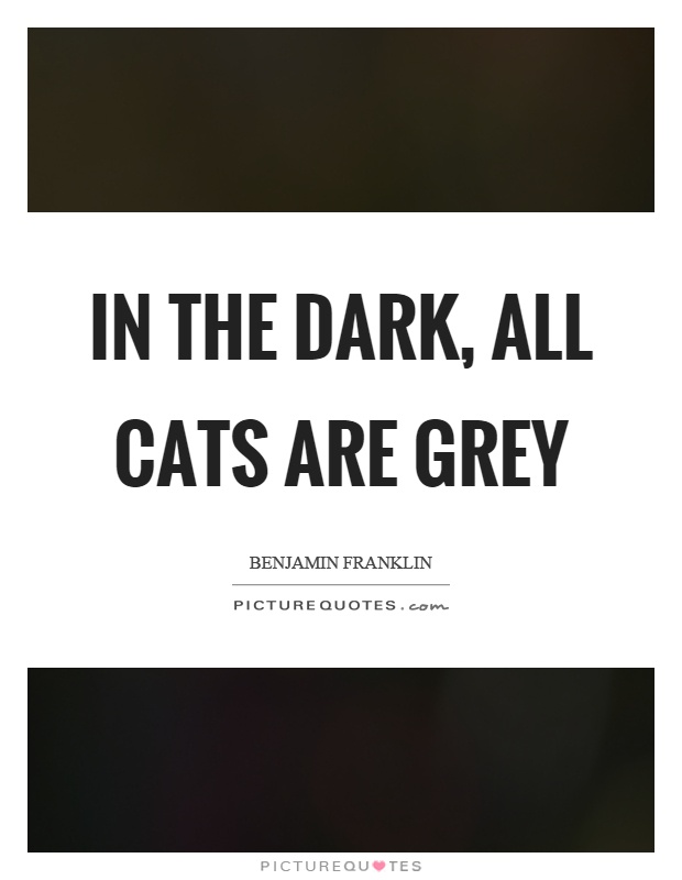 In the dark, all cats are grey Picture Quote #1