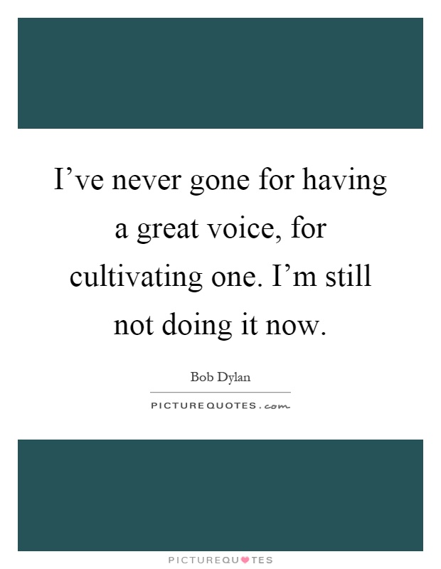 I've never gone for having a great voice, for cultivating one. I'm still not doing it now Picture Quote #1