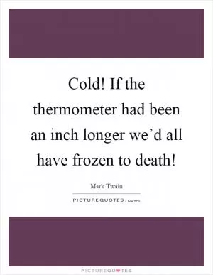 Cold! If the thermometer had been an inch longer we’d all have frozen to death! Picture Quote #1