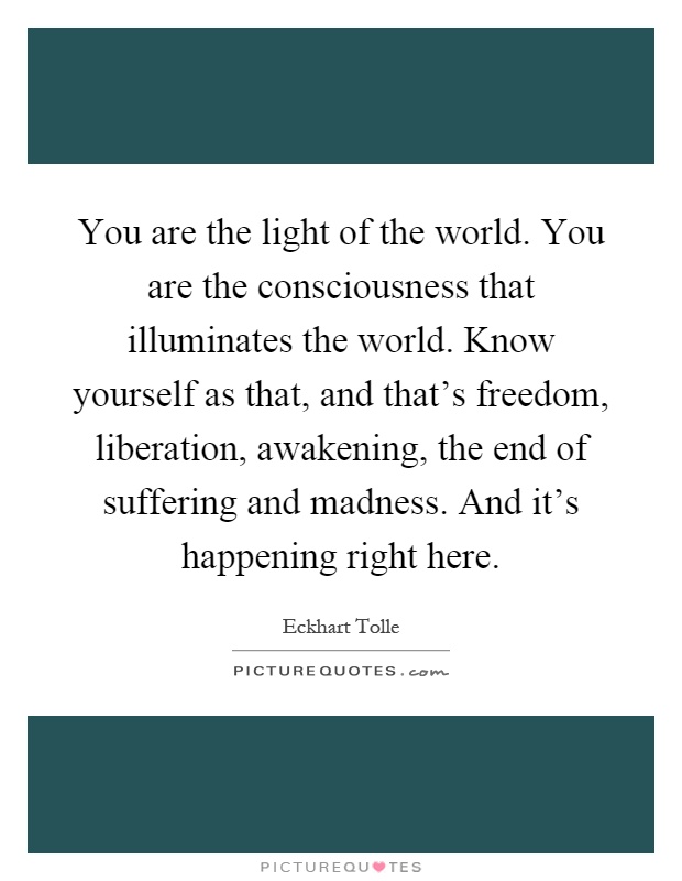 You are the light of the world. You are the consciousness that illuminates the world. Know yourself as that, and that's freedom, liberation, awakening, the end of suffering and madness. And it's happening right here Picture Quote #1