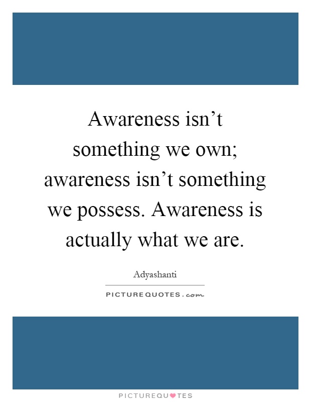 Awareness isn't something we own; awareness isn't something we possess. Awareness is actually what we are Picture Quote #1