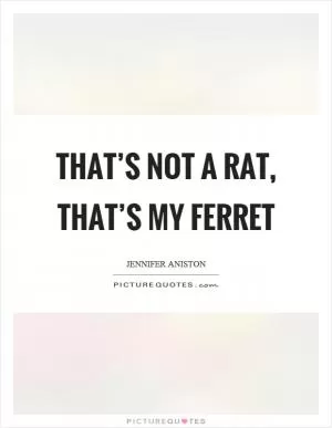 That’s not a rat, that’s my ferret Picture Quote #1