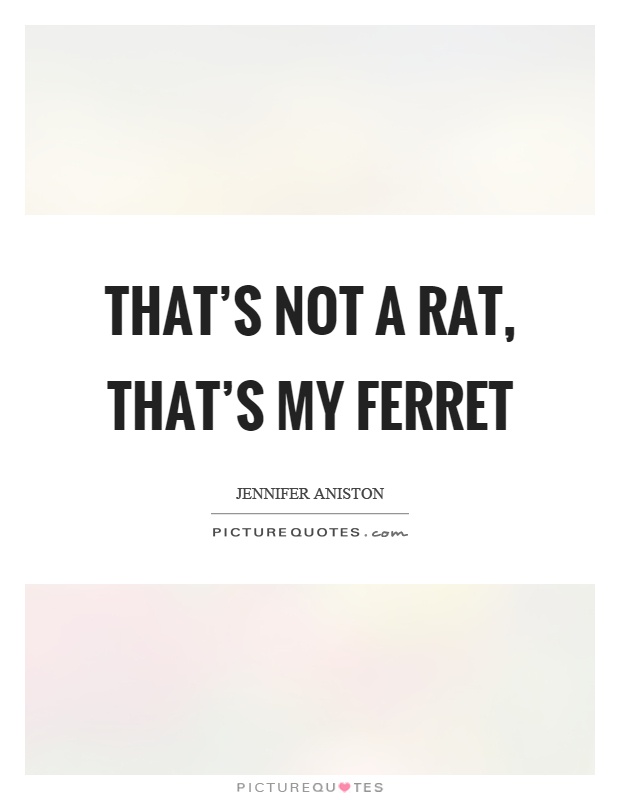 That's not a rat, that's my ferret Picture Quote #1