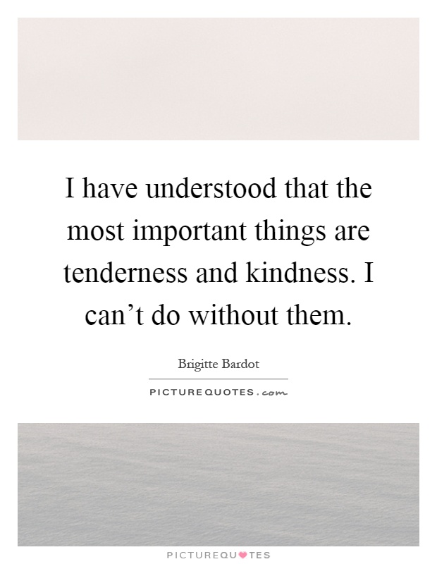 I have understood that the most important things are tenderness and kindness. I can't do without them Picture Quote #1