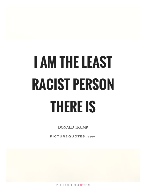 I am the least racist person there is Picture Quote #1