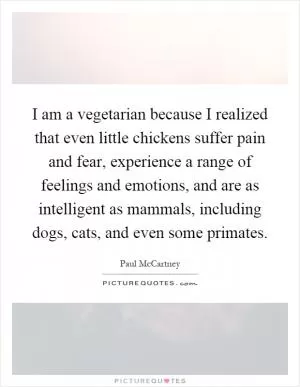 I am a vegetarian because I realized that even little chickens suffer pain and fear, experience a range of feelings and emotions, and are as intelligent as mammals, including dogs, cats, and even some primates Picture Quote #1