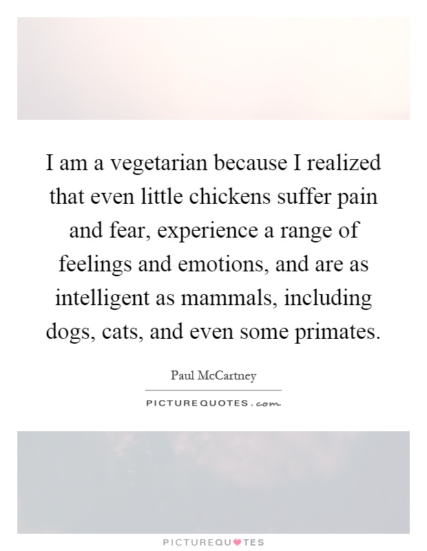 I am a vegetarian because I realized that even little chickens suffer pain and fear, experience a range of feelings and emotions, and are as intelligent as mammals, including dogs, cats, and even some primates Picture Quote #1