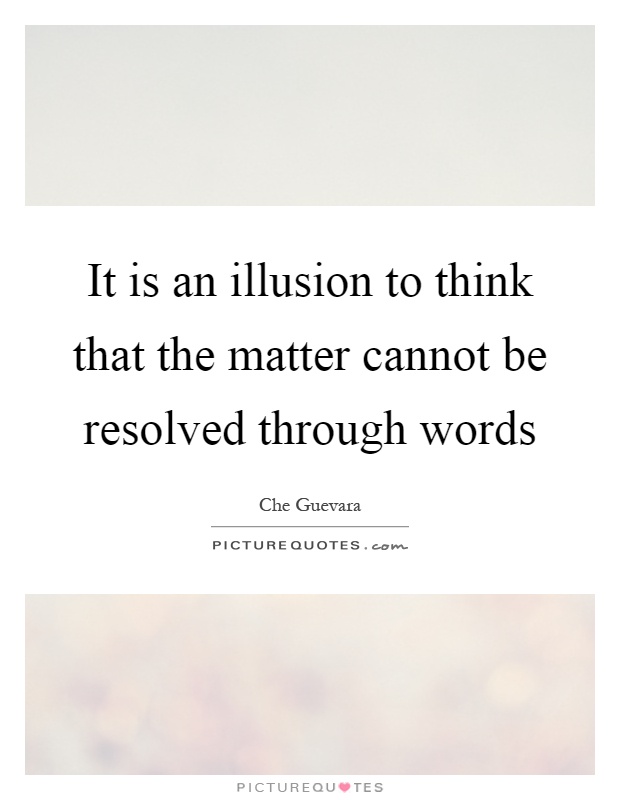 It is an illusion to think that the matter cannot be resolved through words Picture Quote #1