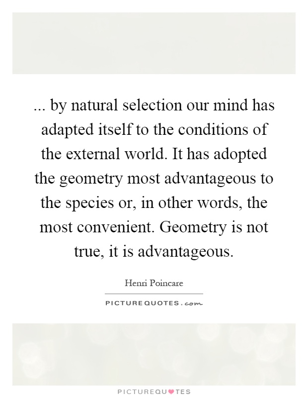 ... by natural selection our mind has adapted itself to the conditions of the external world. It has adopted the geometry most advantageous to the species or, in other words, the most convenient. Geometry is not true, it is advantageous Picture Quote #1