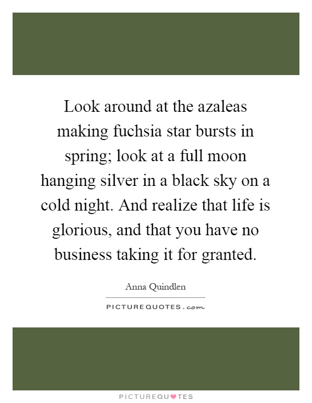 Look around at the azaleas making fuchsia star bursts in spring; look at a full moon hanging silver in a black sky on a cold night. And realize that life is glorious, and that you have no business taking it for granted Picture Quote #1