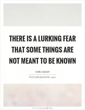 There is a lurking fear that some things are not meant to be known Picture Quote #1