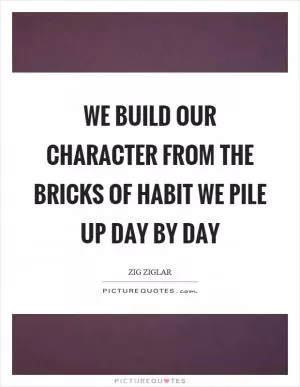 We build our character from the bricks of habit we pile up day by day Picture Quote #1