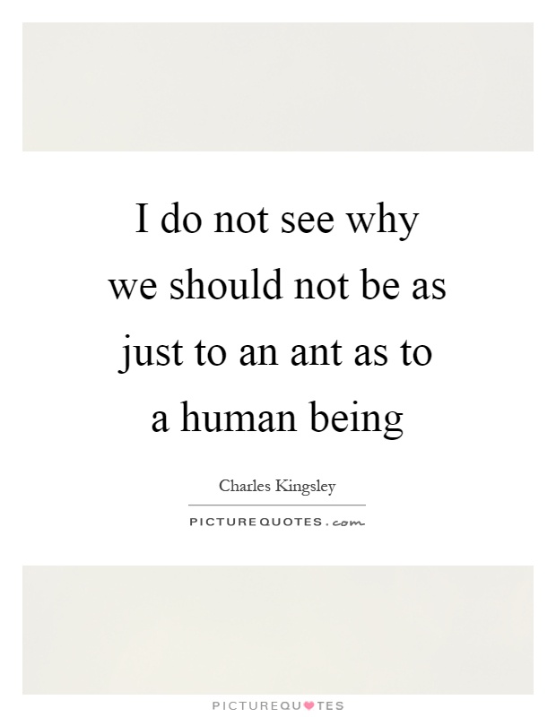 I do not see why we should not be as just to an ant as to a human being Picture Quote #1
