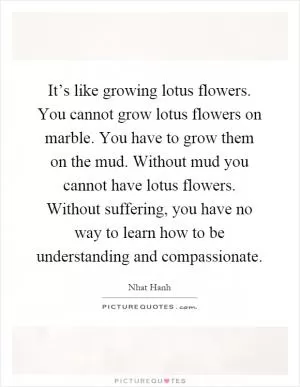 It’s like growing lotus flowers. You cannot grow lotus flowers on marble. You have to grow them on the mud. Without mud you cannot have lotus flowers. Without suffering, you have no way to learn how to be understanding and compassionate Picture Quote #1