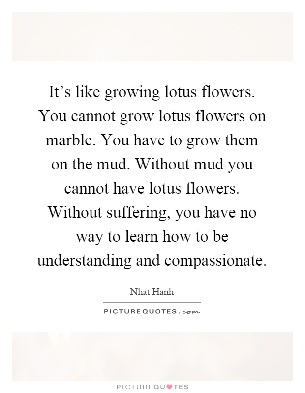 It's like growing lotus flowers. You cannot grow lotus flowers on marble. You have to grow them on the mud. Without mud you cannot have lotus flowers. Without suffering, you have no way to learn how to be understanding and compassionate Picture Quote #1