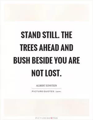 Stand still. The trees ahead and bush beside you are not lost Picture Quote #1