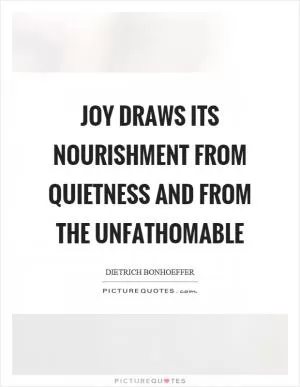 Joy draws its nourishment from quietness and from the unfathomable Picture Quote #1
