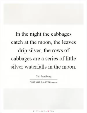 In the night the cabbages catch at the moon, the leaves drip silver, the rows of cabbages are a series of little silver waterfalls in the moon Picture Quote #1