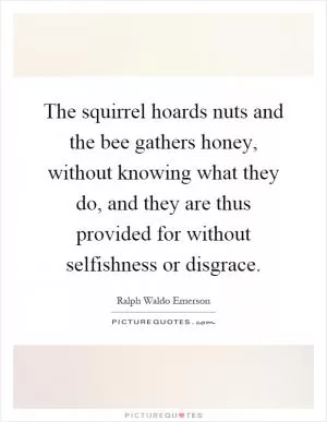 The squirrel hoards nuts and the bee gathers honey, without knowing what they do, and they are thus provided for without selfishness or disgrace Picture Quote #1
