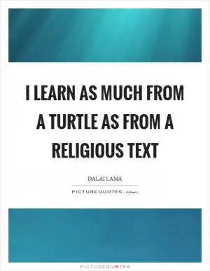 I learn as much from a turtle as from a religious text Picture Quote #1
