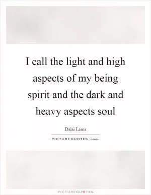 I call the light and high aspects of my being spirit and the dark and heavy aspects soul Picture Quote #1
