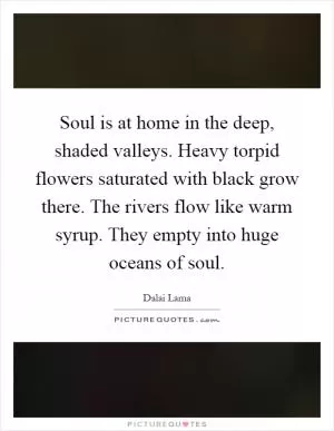 Soul is at home in the deep, shaded valleys. Heavy torpid flowers saturated with black grow there. The rivers flow like warm syrup. They empty into huge oceans of soul Picture Quote #1