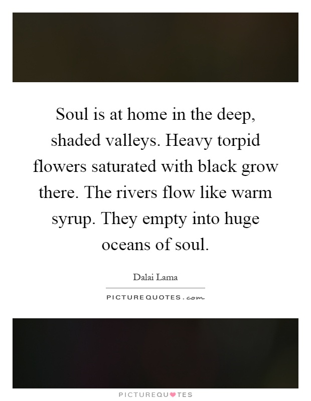Soul is at home in the deep, shaded valleys. Heavy torpid flowers saturated with black grow there. The rivers flow like warm syrup. They empty into huge oceans of soul Picture Quote #1