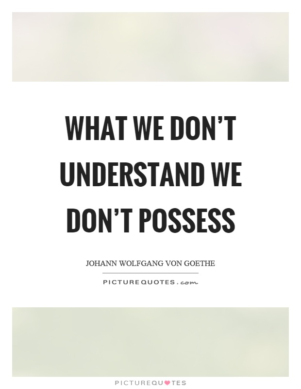 What we don't understand we don't possess Picture Quote #1