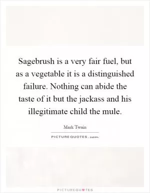 Sagebrush is a very fair fuel, but as a vegetable it is a distinguished failure. Nothing can abide the taste of it but the jackass and his illegitimate child the mule Picture Quote #1