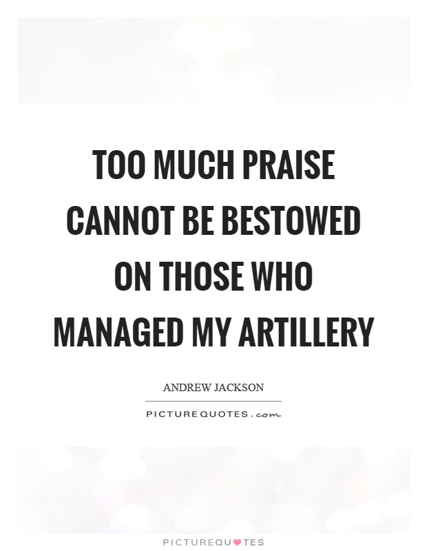Too much praise cannot be bestowed on those who managed my artillery Picture Quote #1